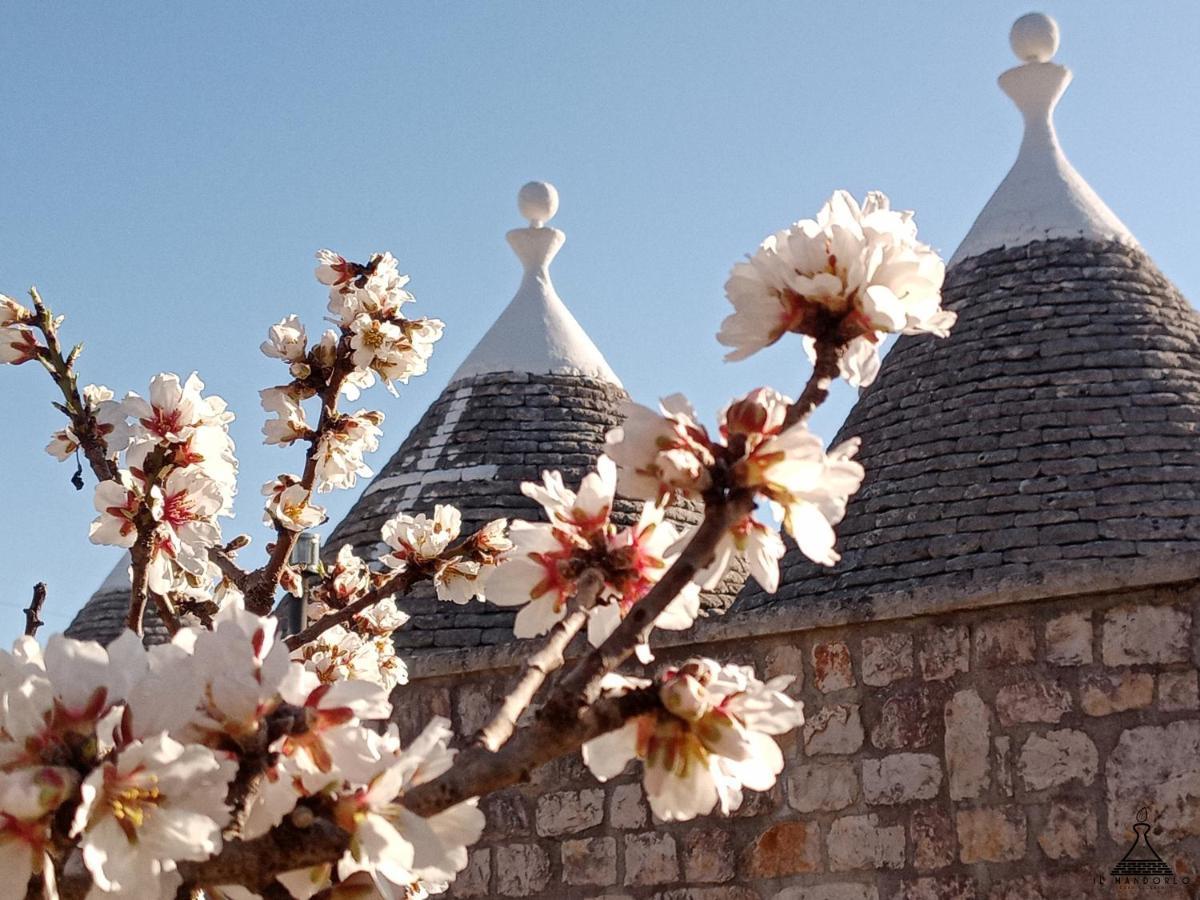 Il Mandorlo Villa Ostuni Exterior foto